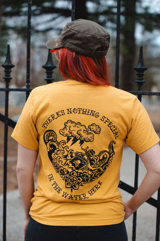 Nothing Special In The Water